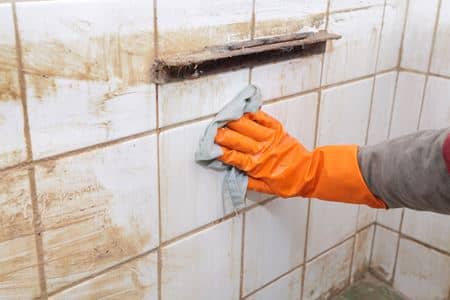 Tile & Grout Cleaning Thumbnail
